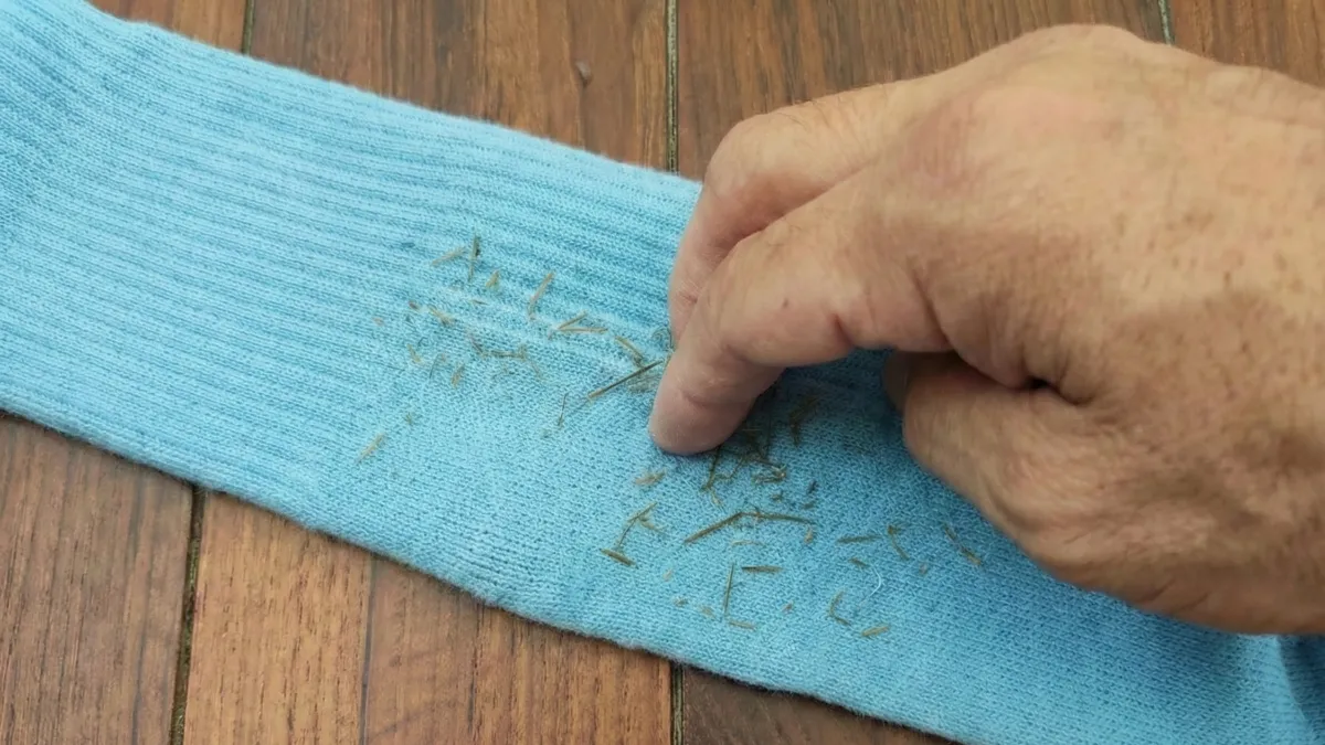 GKソックスの人工芝を爪でこする